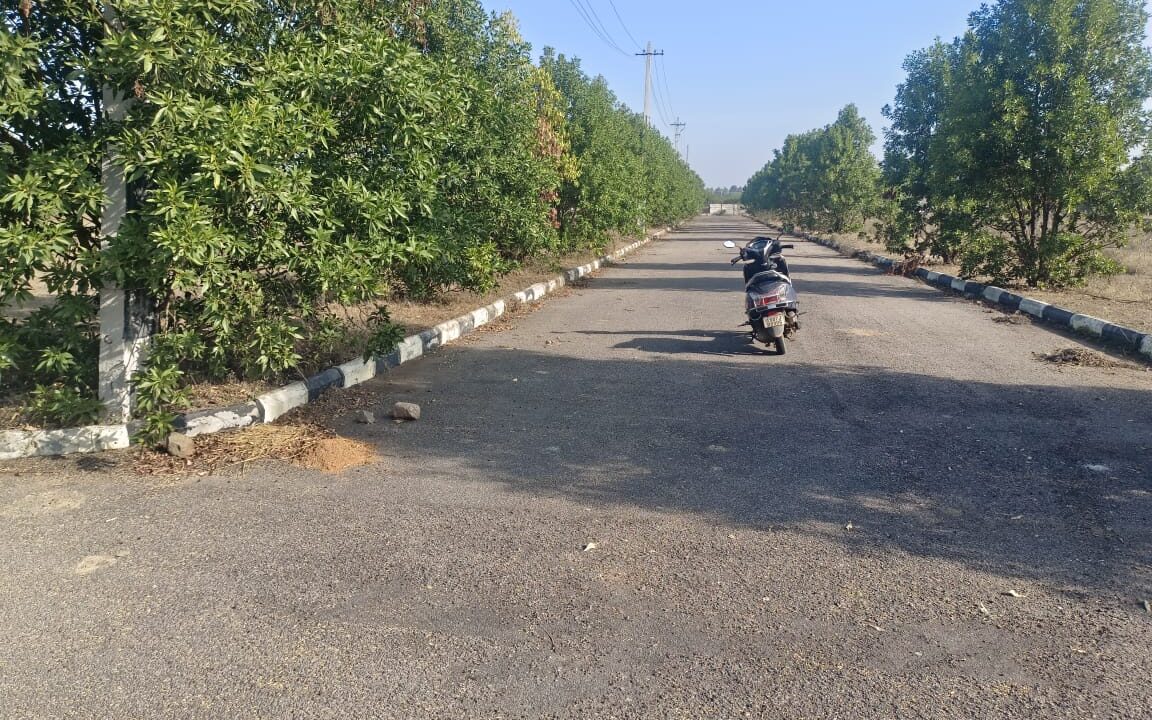 WhatsApp Image 2025-01-23 at 2.22.56 PM (2)